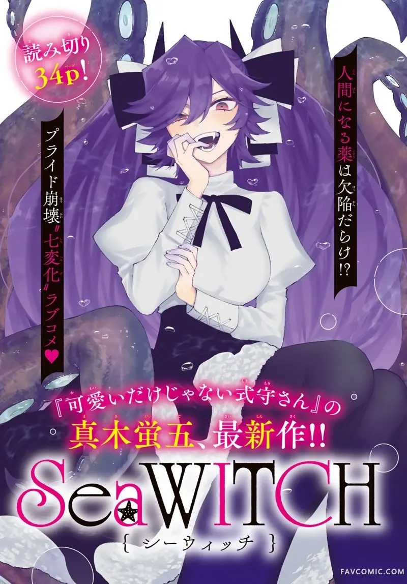 SeaWITCH试读1P