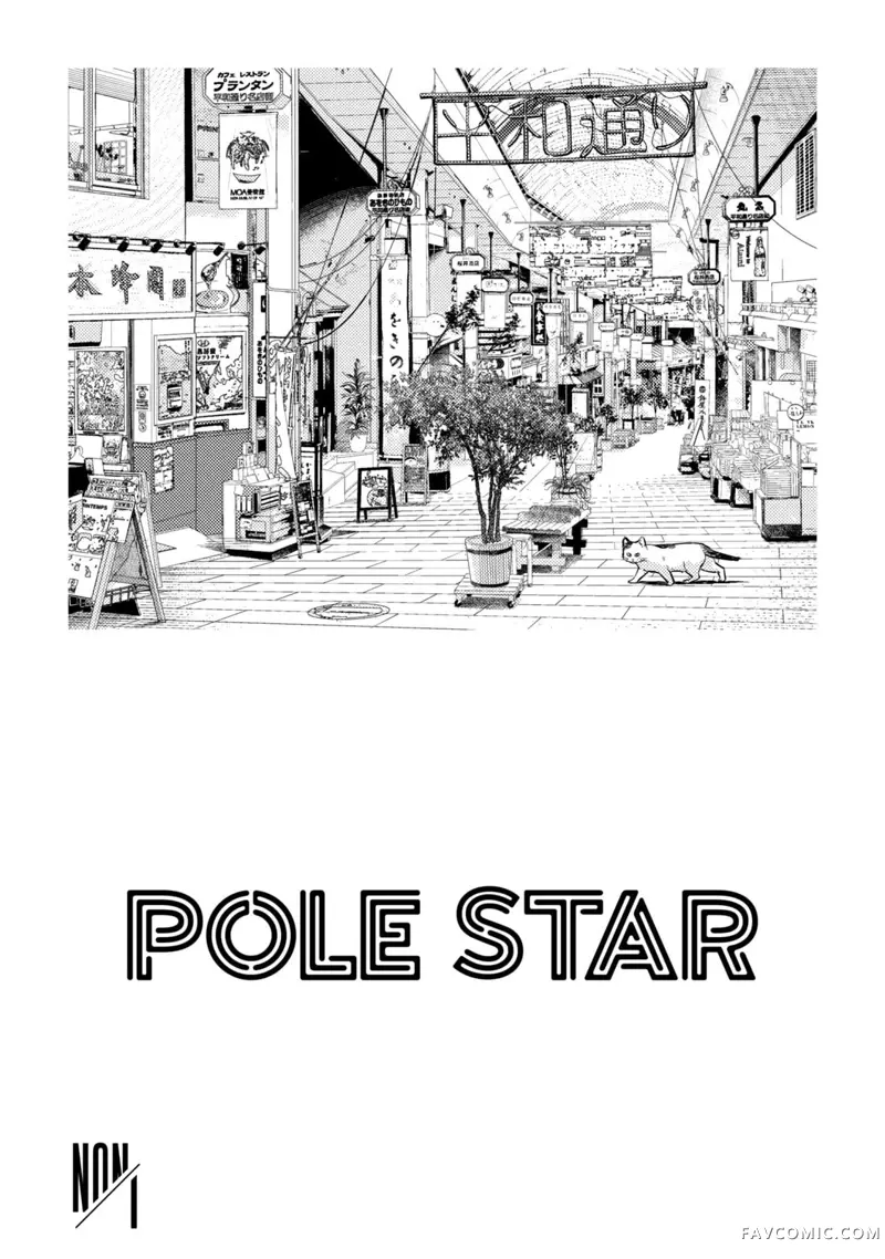 POLE STAR试读2P