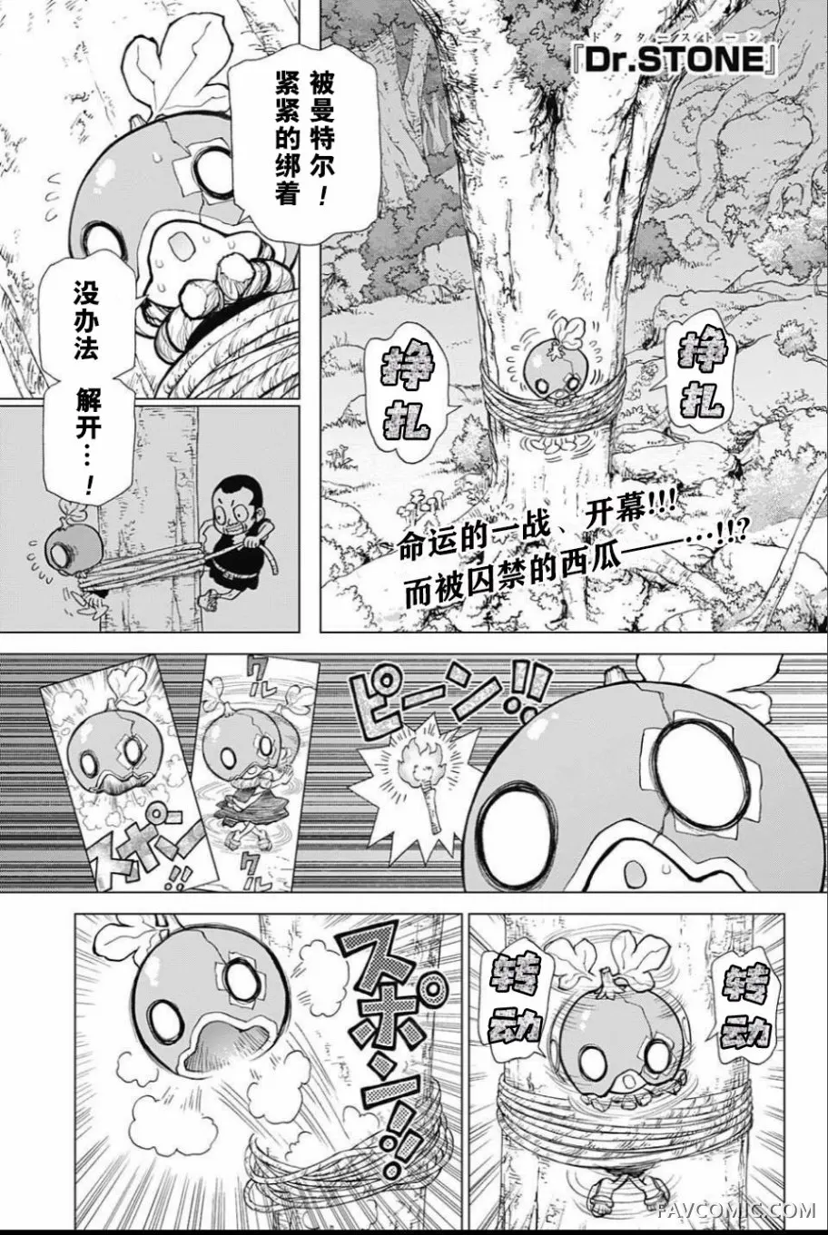 石纪元 Dr.Stone第 035 话P1