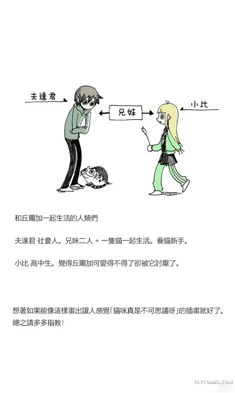 关于养猫我一直是新手试读3P