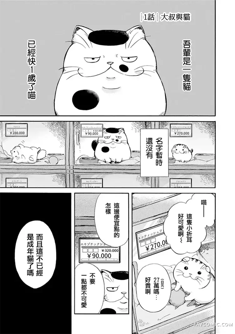 大叔与猫试读1P