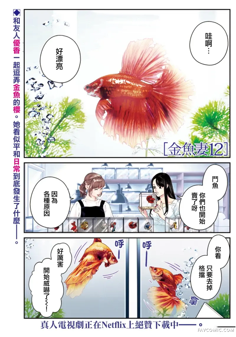 金鱼妻第45話金魚妻12P1