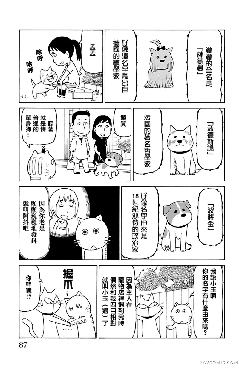 我家的街猫第366話P2