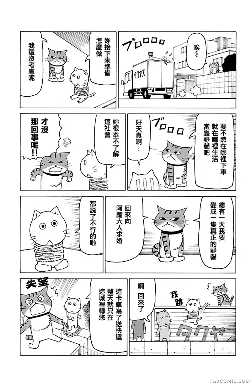 我家的街猫第384話P2