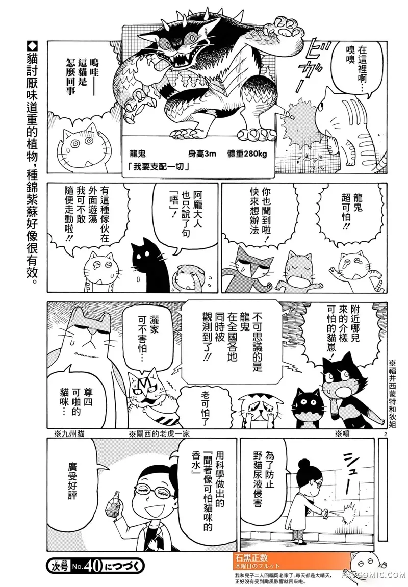 我家的街猫第717话P2