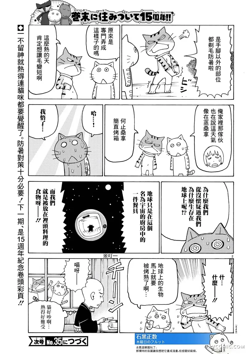 我家的街猫第762话P2