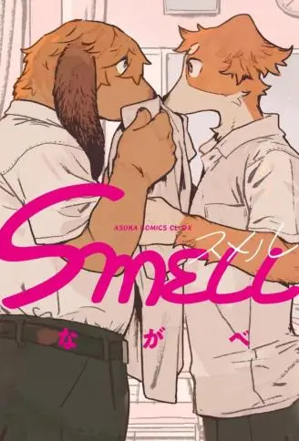 SMELL封面